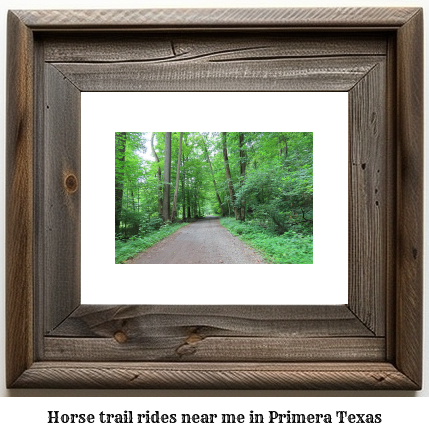 horse trail rides near me in Primera, Texas